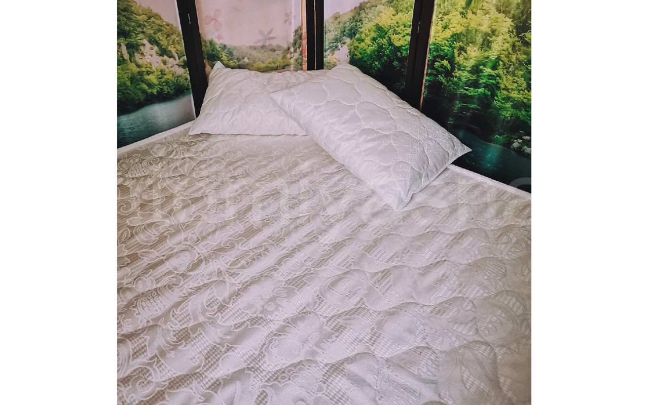 отзыв о Матрас Dimax Практик Чип Ролл Баланс Фоам Файв фото 2