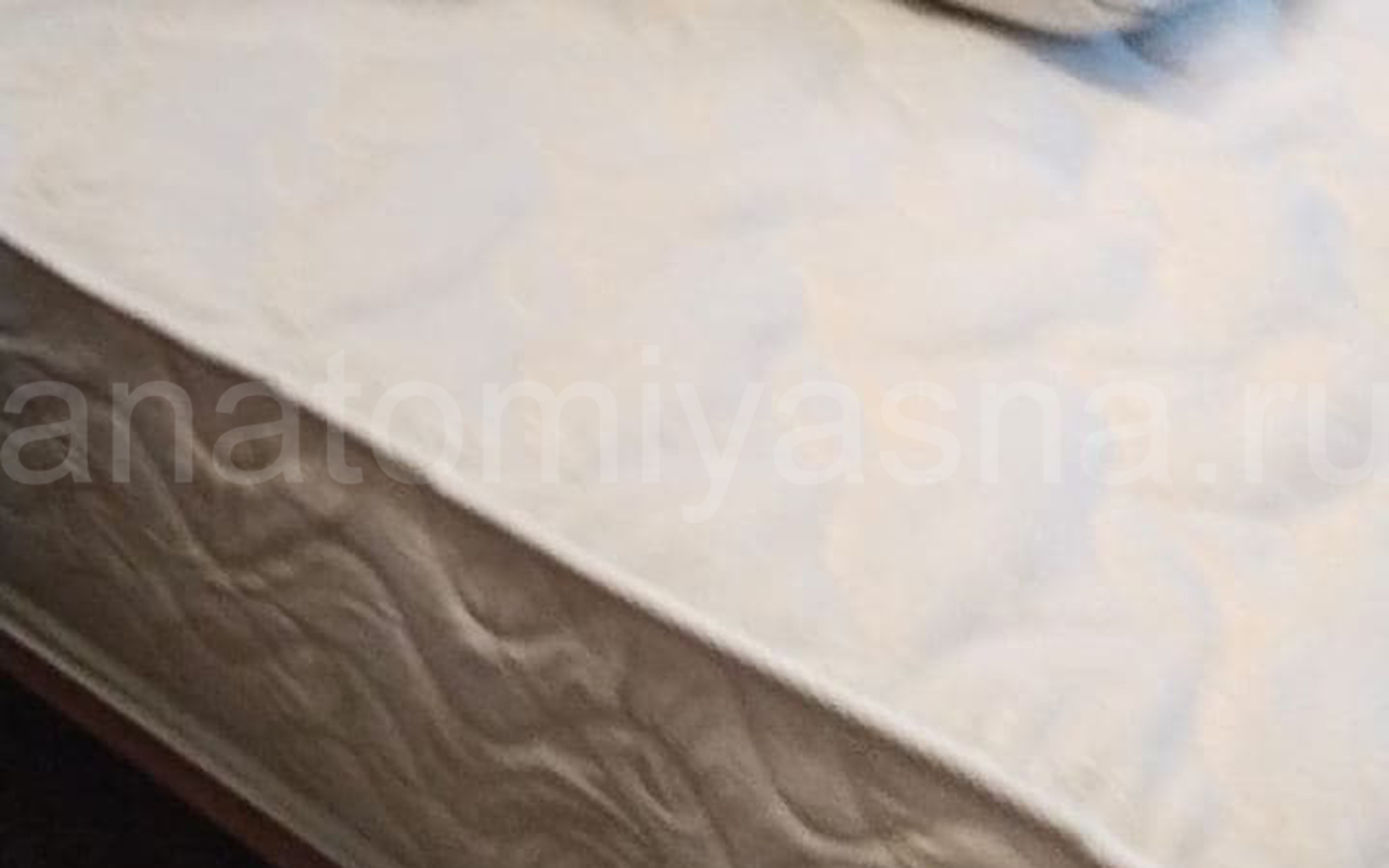 отзыв о Матрас Lonax Ассорти Memory Cocos S1000